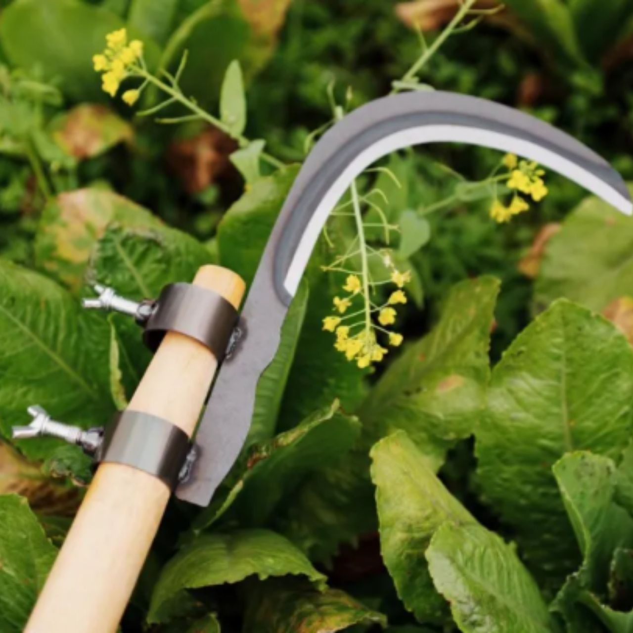 AgroTool, rezačka na konáre, burinu, tŕne a vegetáciu - Image 5