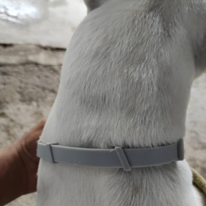 AnimalProtect, obojok proti kliešťom a blchám pre psov - Image 2