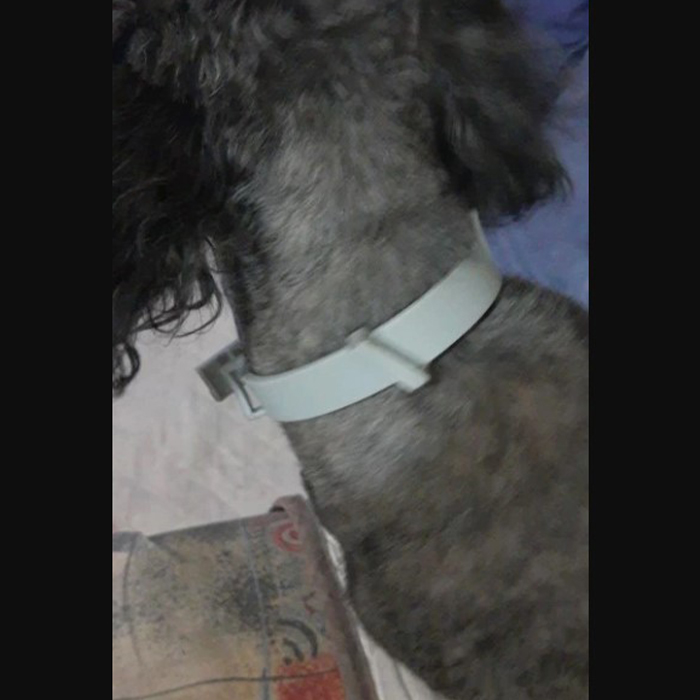 AnimalProtect, obojok proti kliešťom a blchám pre psov - Image 3