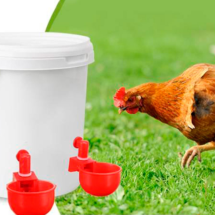 ChickenBowl, napájačka pre sliepky a inú hydinu (6 kusov) - Image 8