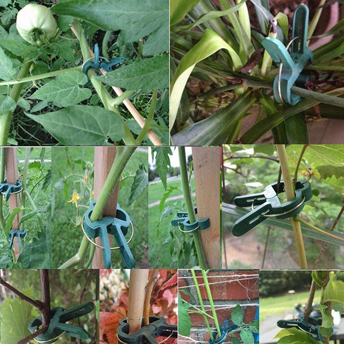 ClampsGarden, užitočné a odolné sponky pre rôzne rastliny vonku aj vnútri (20 ks) - Image 5