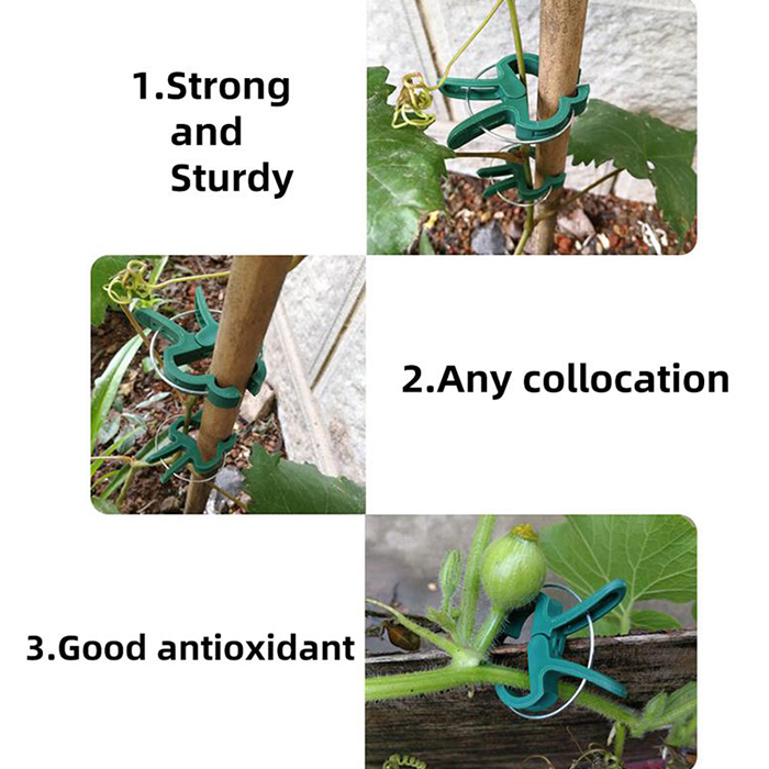 ClampsGarden, užitočné a odolné sponky pre rôzne rastliny vonku aj vnútri (20 ks) - Image 9
