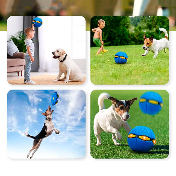 DiskBall, hračka pre psy, ktorá je zároveň frisbee a lopta - Image 7