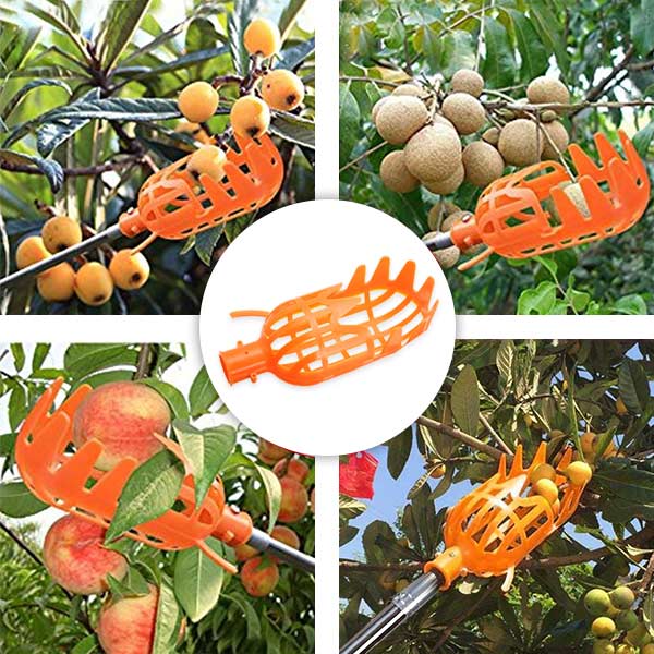 FruitBasket, FruitPicking Basket - Image 5