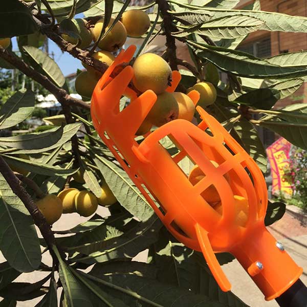 FruitBasket, FruitPicking Basket - Image 6