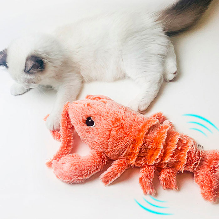 LobsterToy, interaktívna hračka pre domáce zvieratá vo forme raka - Image 9
