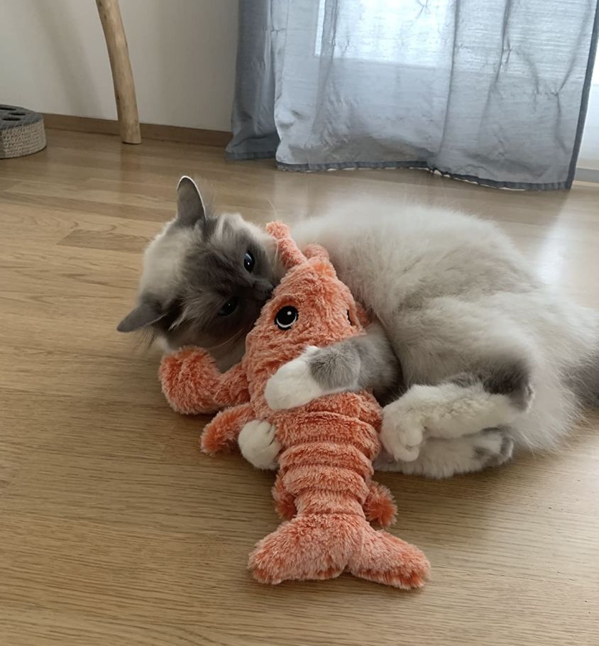 LobsterToy, interaktívna hračka pre domáce zvieratá vo forme raka - Image 10