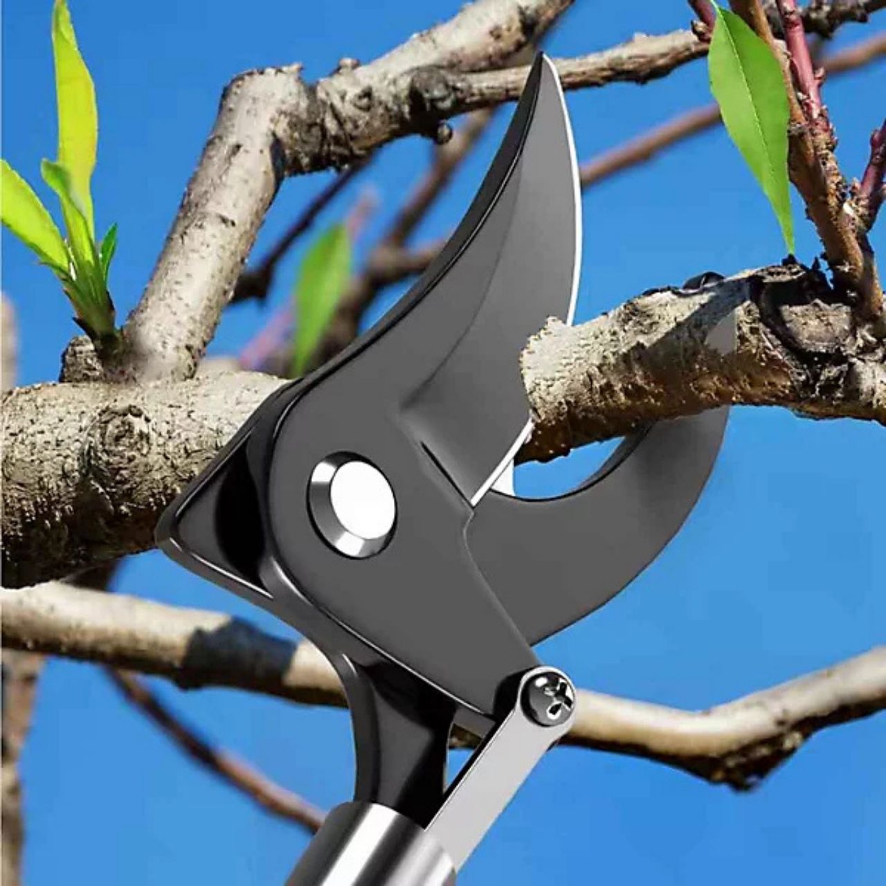 LongShears, nožnice na konáre - Image 2