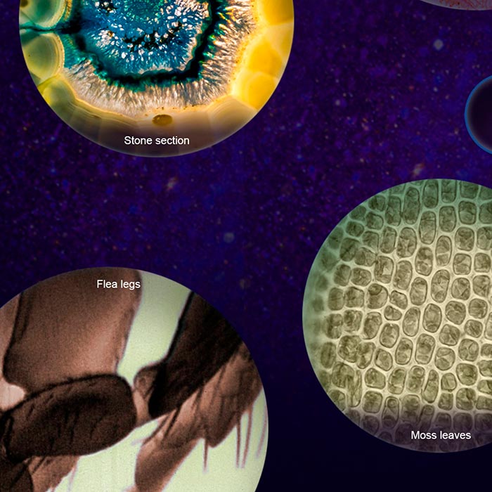 MicroscopeKit, prenosný detský mikroskop - Image 9