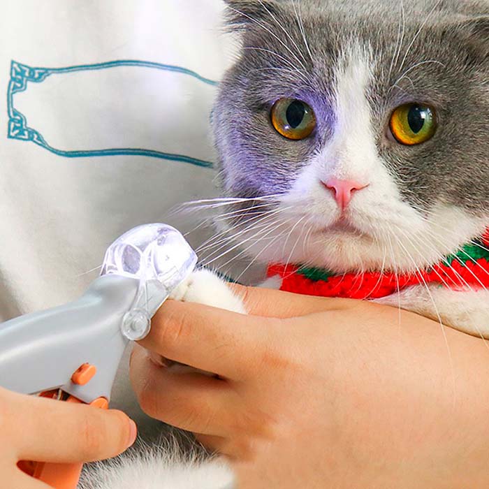 PawGloTrim, kliešte na strihanie pazúrov so svetlom LED - Image 7