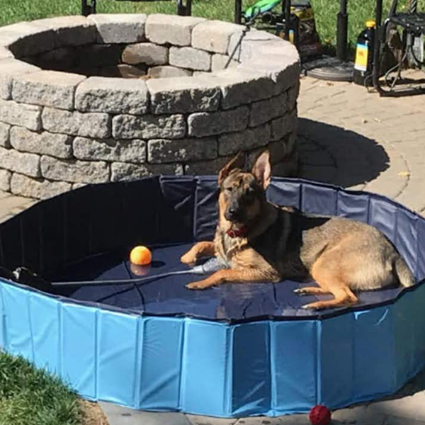 PawlyPool, skladací bazén pre deti a domácich miláčikov - Image 3