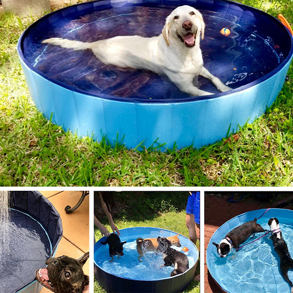 PawlyPool, skladací bazén pre deti a domácich miláčikov - Image 5