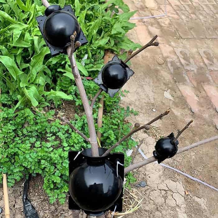 RootBall, nástroj pre úspešné klonovanie rastlín (2 ks) - Image 2
