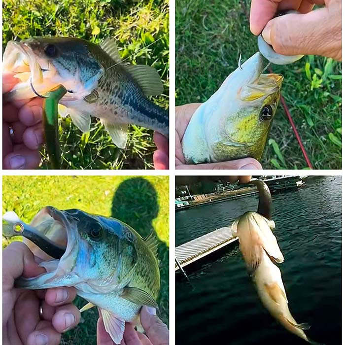 SoftLures, návnada na ryby (5 kusov) - Image 6