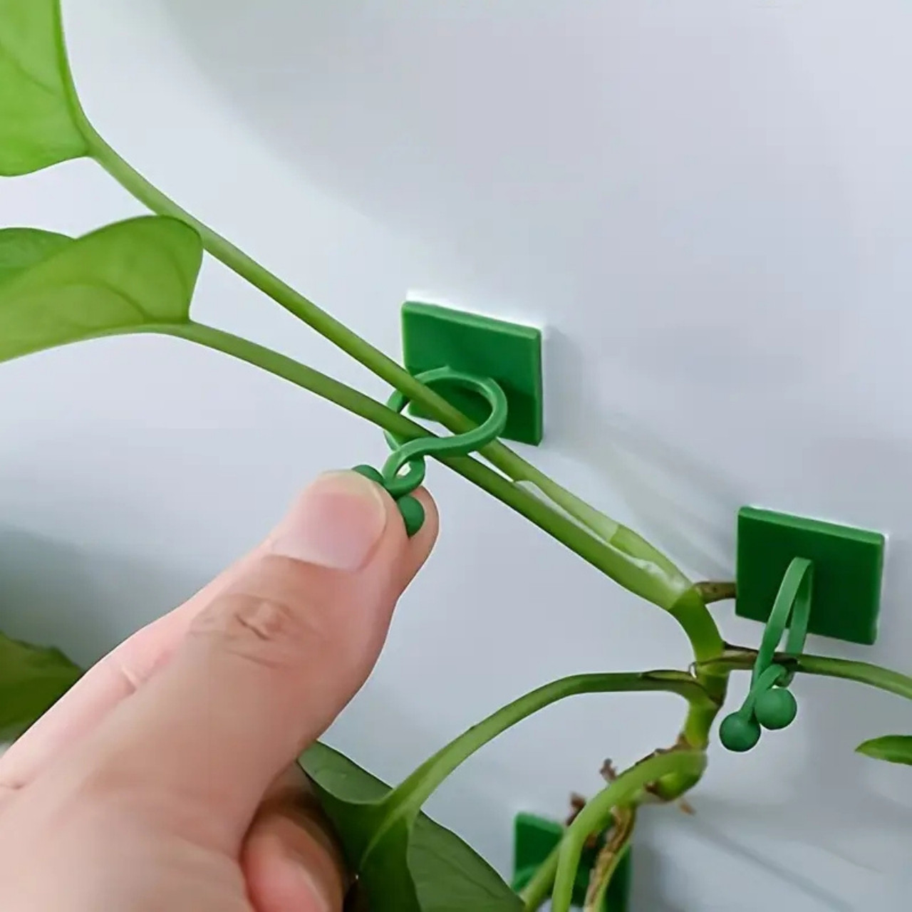 Vines, samolepiace držiaky rastlín a popínavé rastliny (100 kusov) - Image 3