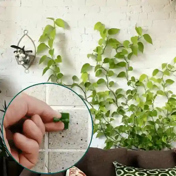 Vines, samolepiace držiaky rastlín a popínavé rastliny (100 kusov) - Image 9
